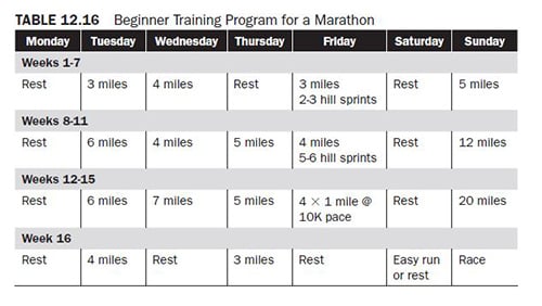 Training Program for Endurance Runners