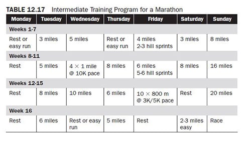 Cardiovascular endurance training programs