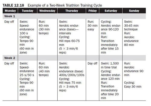 Cardiovascular endurance training programs